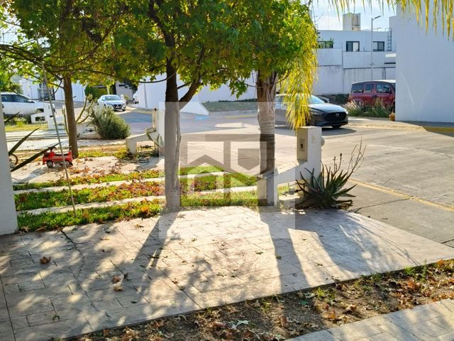 place photo 28