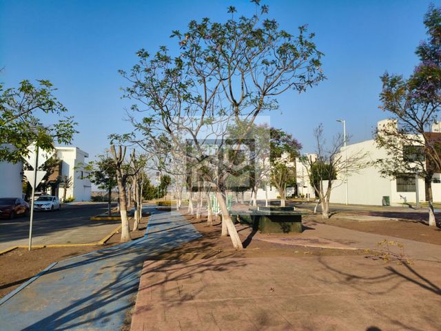 place photo 33