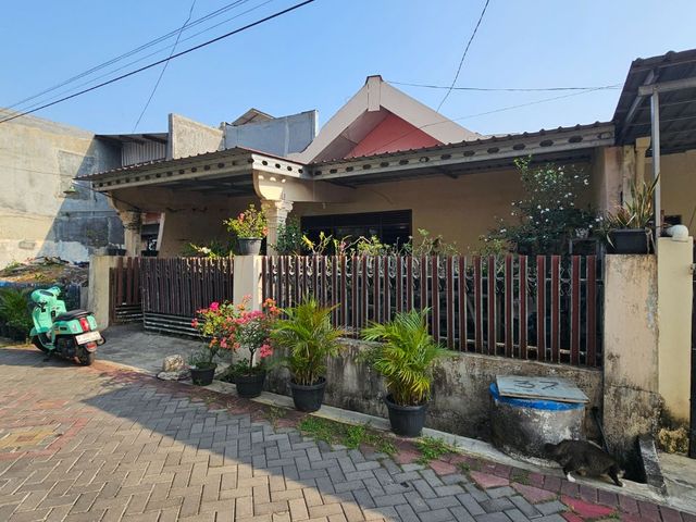 place photo 3
