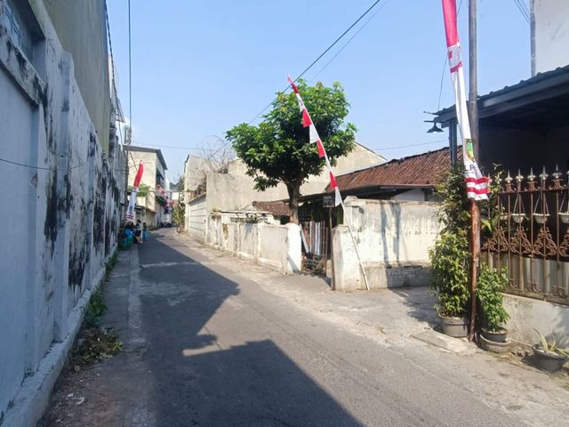 place photo 14