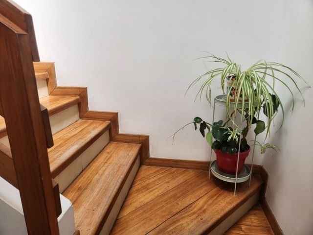 place photo 41