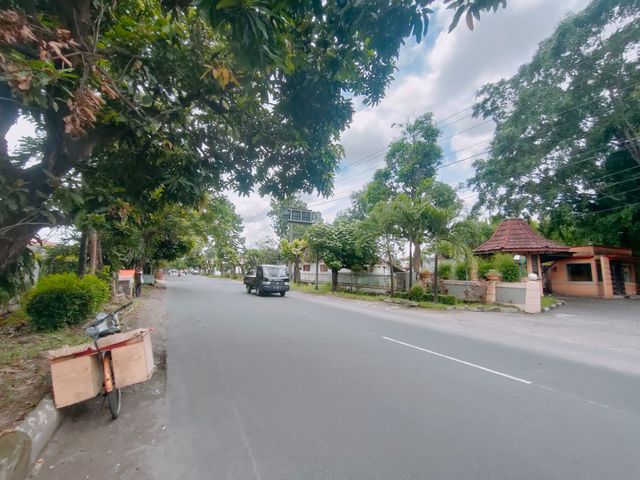 place photo 16