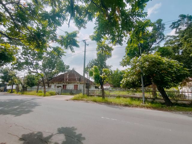 place photo 17