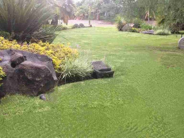 place photo 41