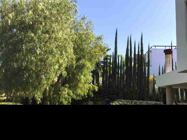 place photo 42