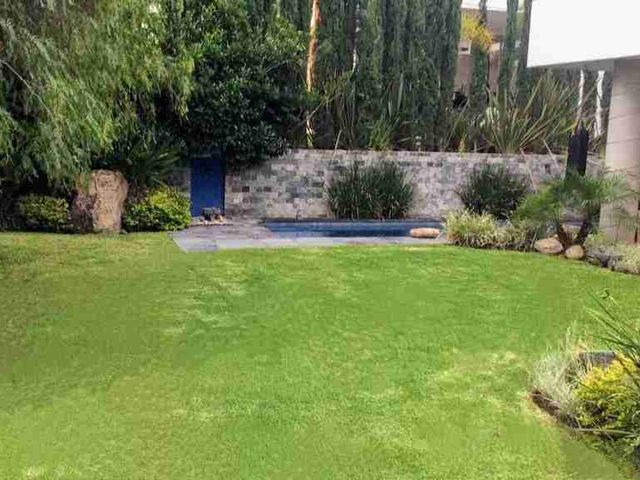place photo 43