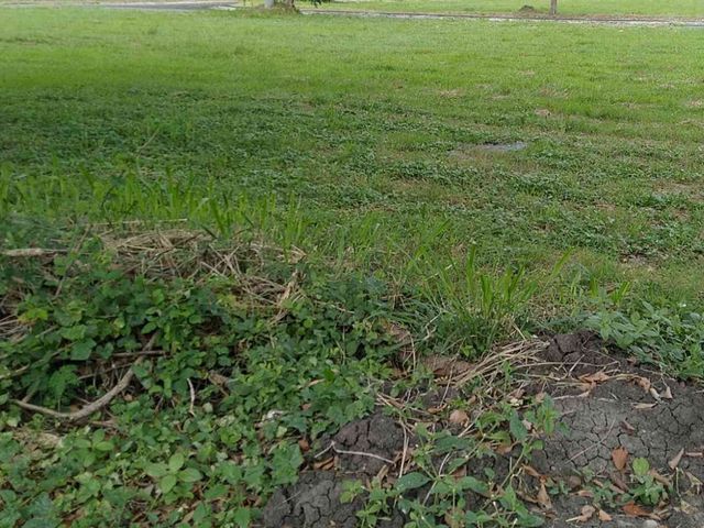 Residential Lot for Sale at Parkplace Village, Anabu, Imus, Cavite