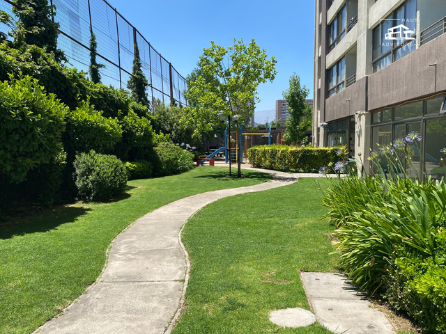 place photo 17