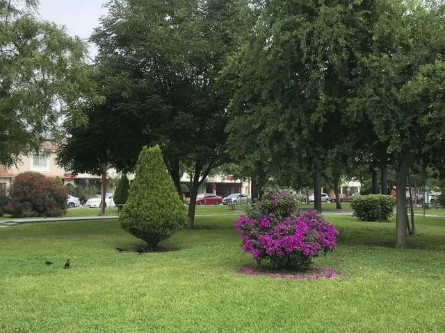 place photo 28