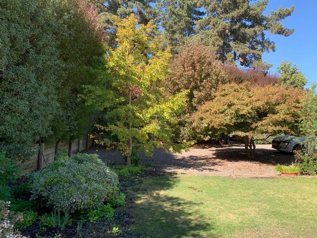 place photo 31