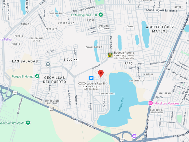 place photo 8