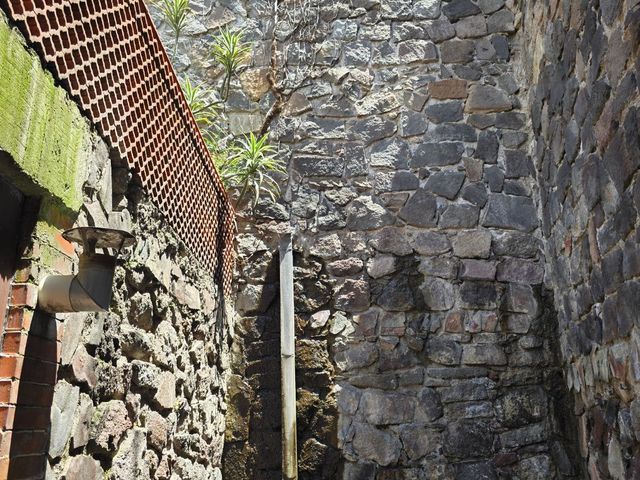 place photo 39