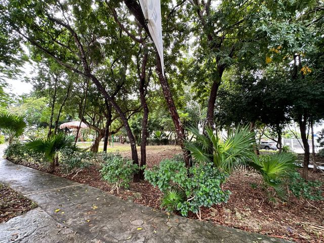 place photo 38