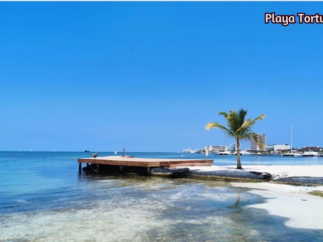 place photo 30