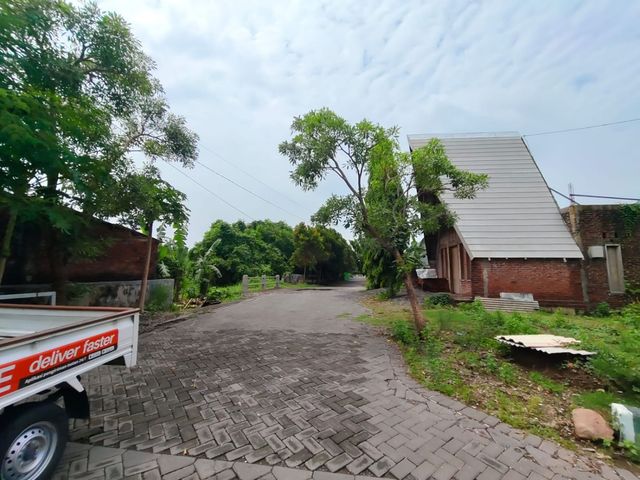 place photo 4
