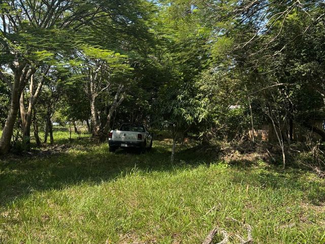 place photo 31