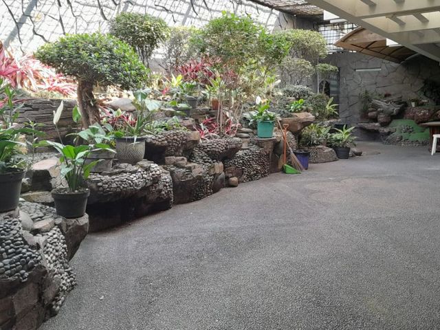 place photo 41