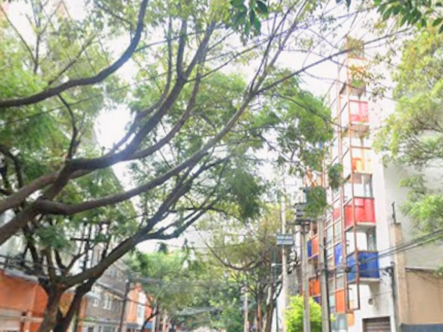 place photo 6
