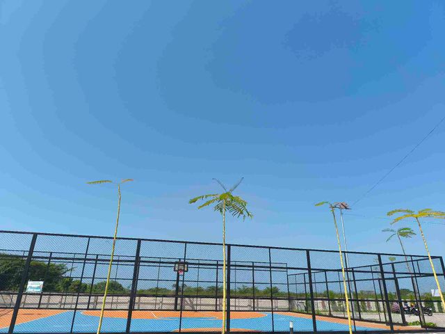 place photo 13