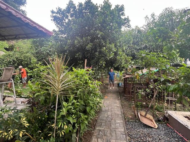 place photo 22