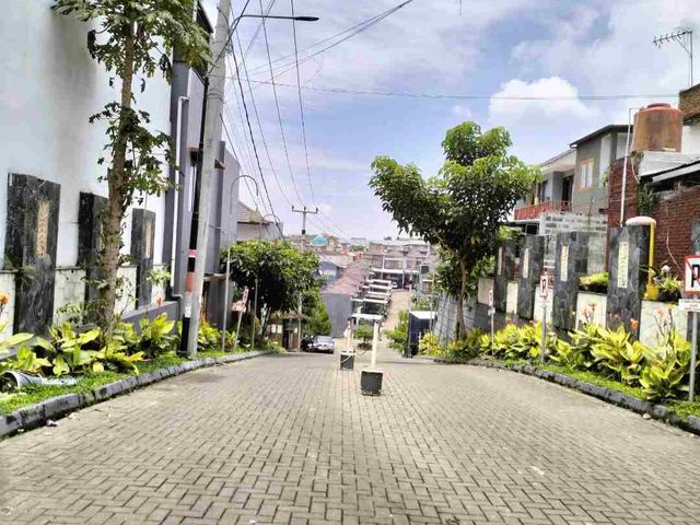 place photo 17