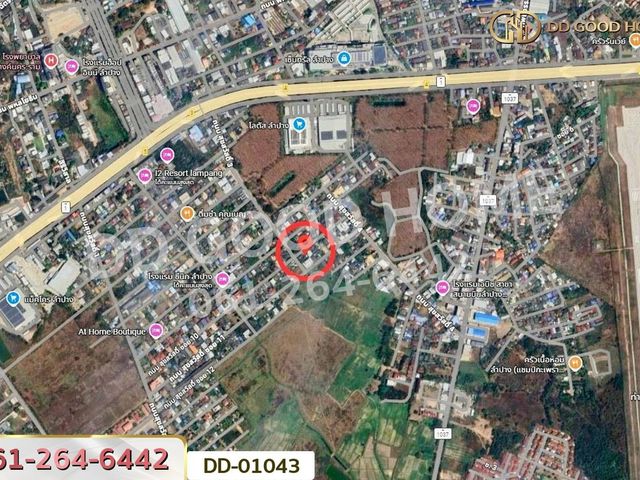 place photo 10