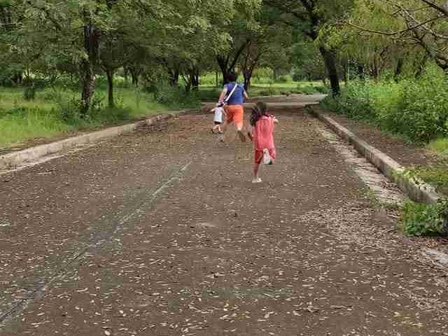place photo 19