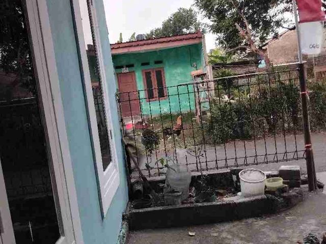 place photo 7