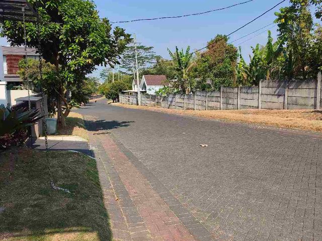 place photo 10