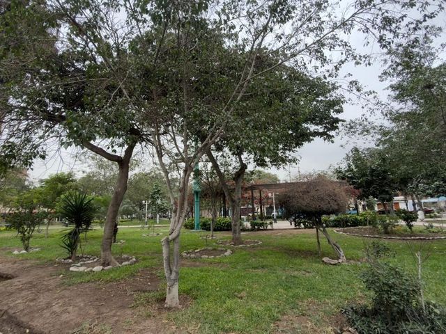place photo 32