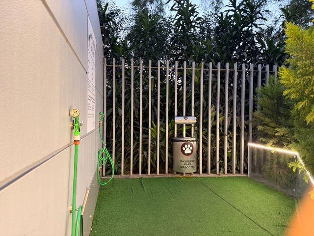 place photo 29
