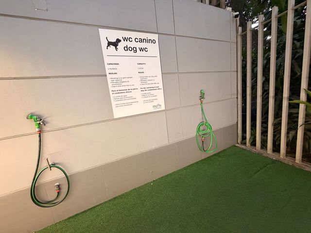 place photo 31
