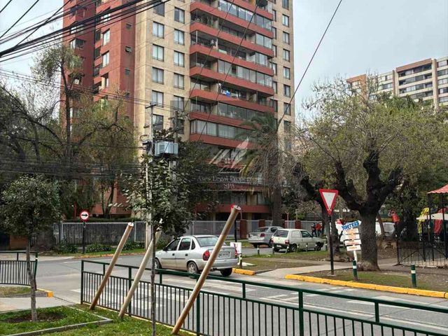 place photo 36