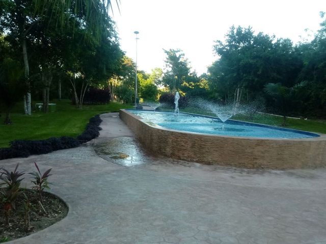 place photo 28
