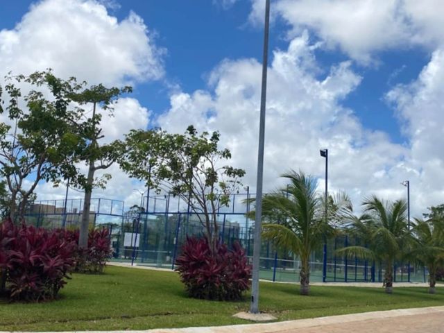 place photo 13