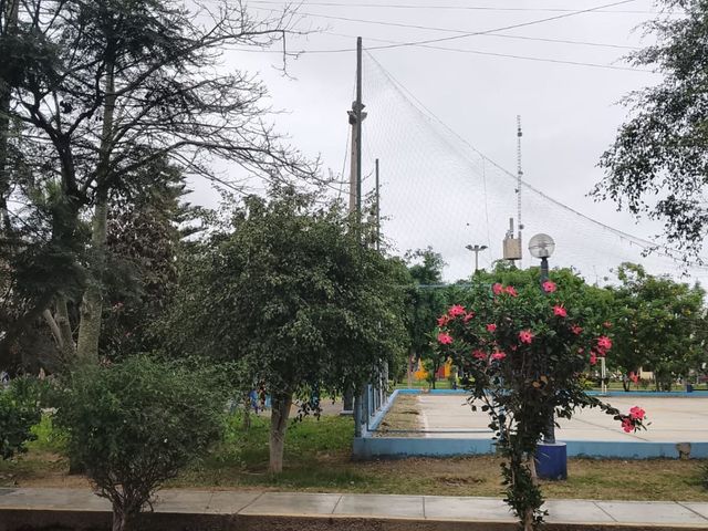 place photo 22