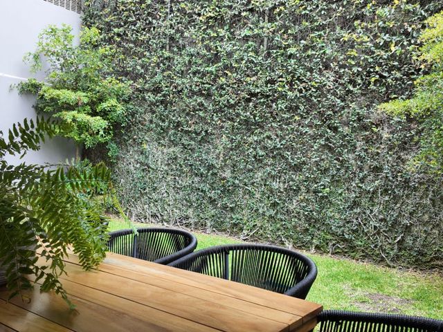 place photo 31
