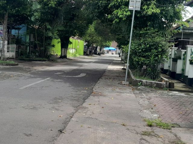 place photo 16