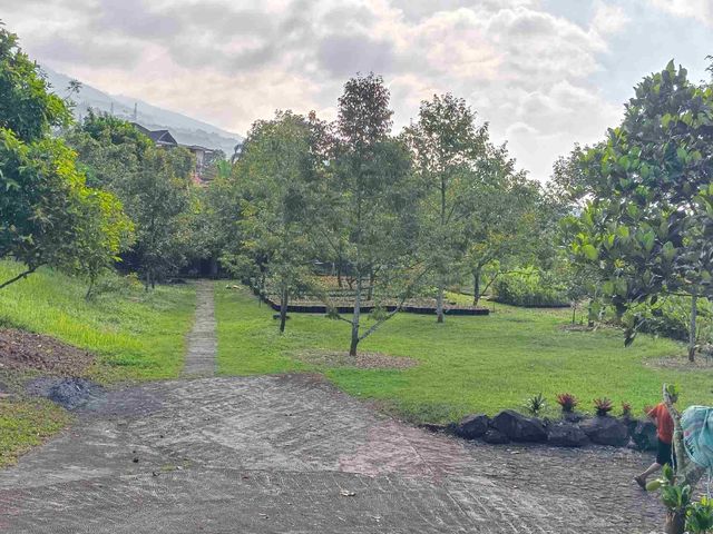 place photo 13