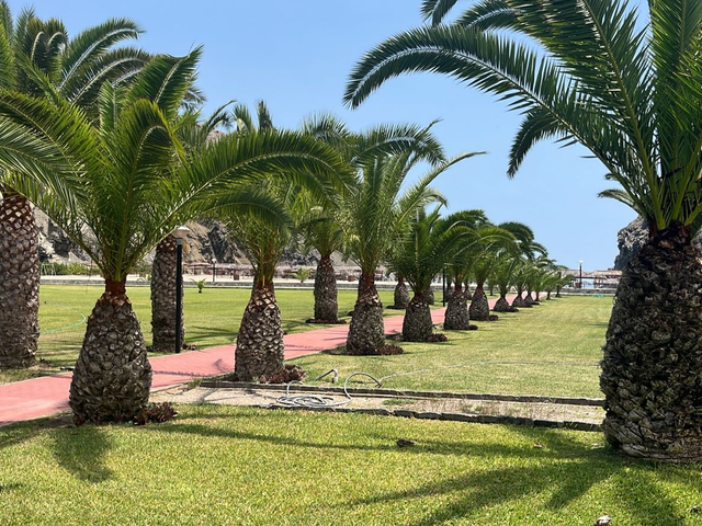 place photo 32