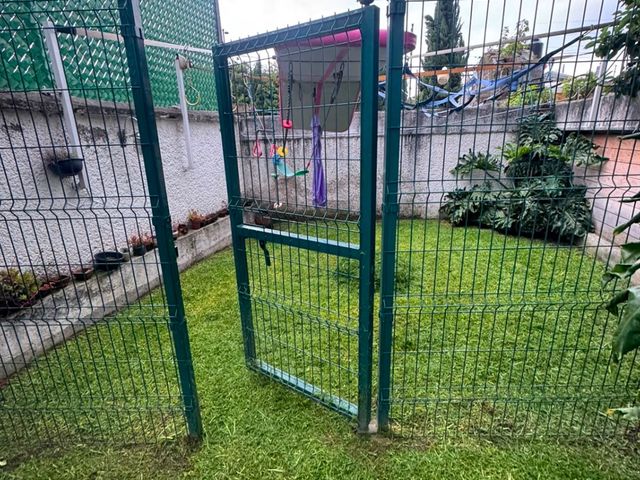 place photo 36