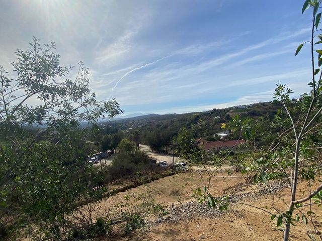 place photo 56