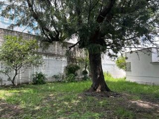 place photo 30