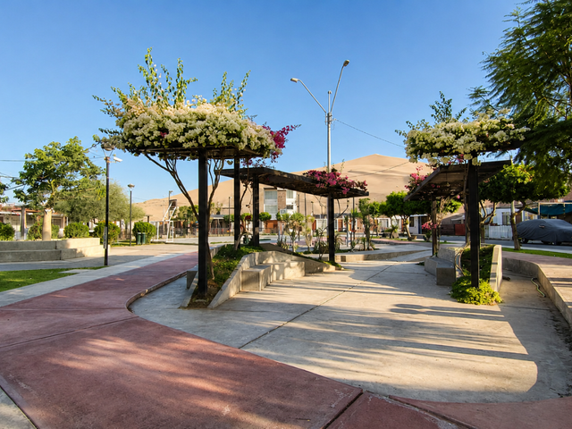 place photo 14