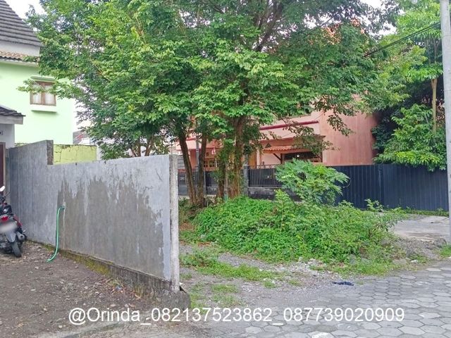 place photo 2