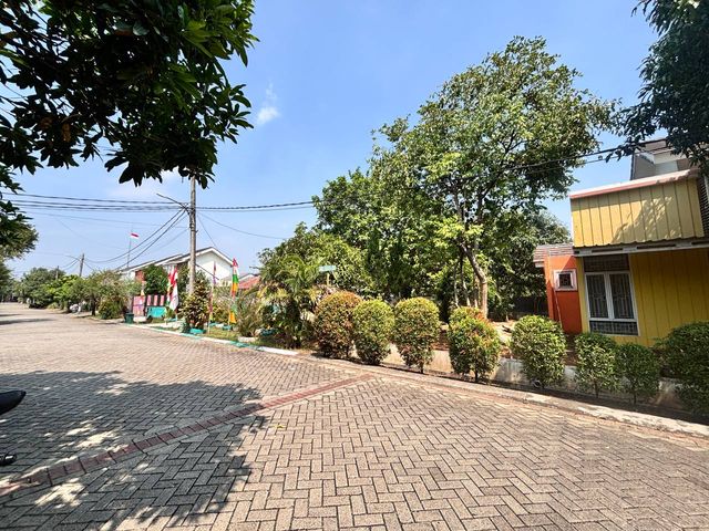 place photo 24