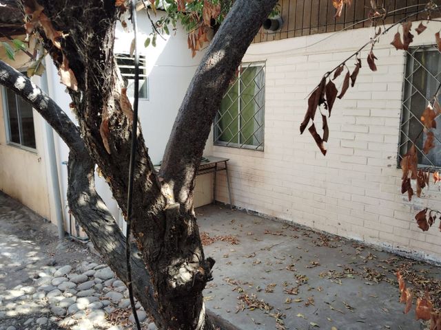 place photo 37