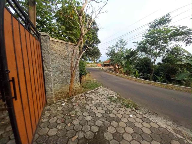 place photo 13