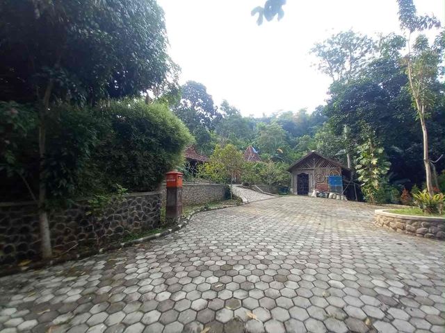 place photo 14