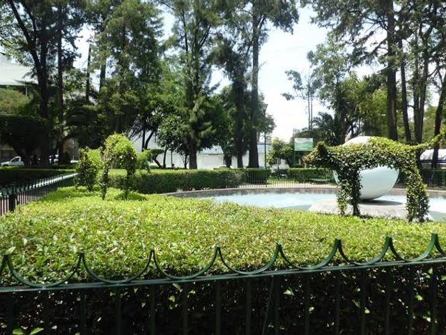place photo 30